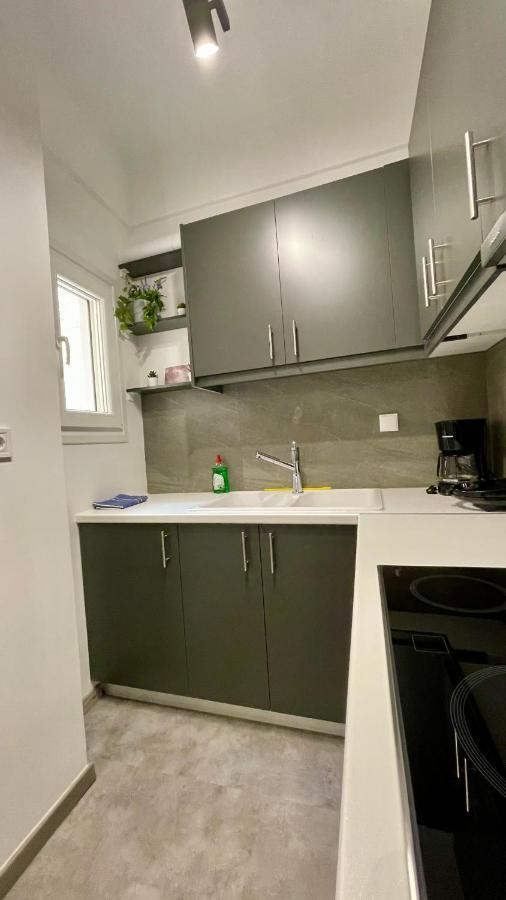Gorgeous Renovated Apt. Close To Metro And Cultural Sites! เอเธนส์ ภายนอก รูปภาพ